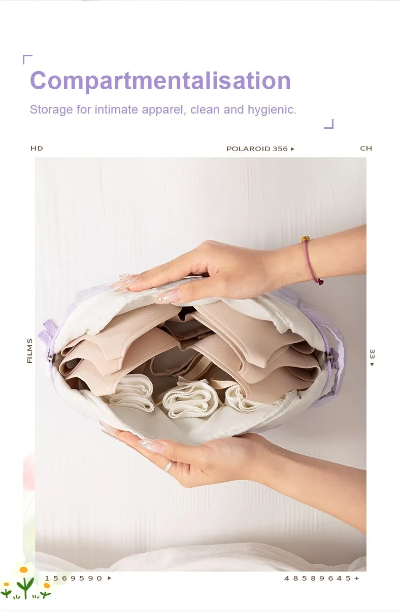 Lingerie Travel Bag Underwear 4 Lingerie Travel Bag Underwear 4